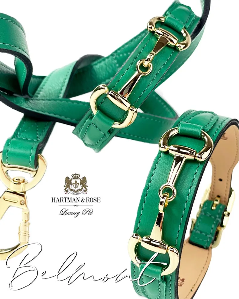 Belmont Dog Collar in Kelly Green & Gold