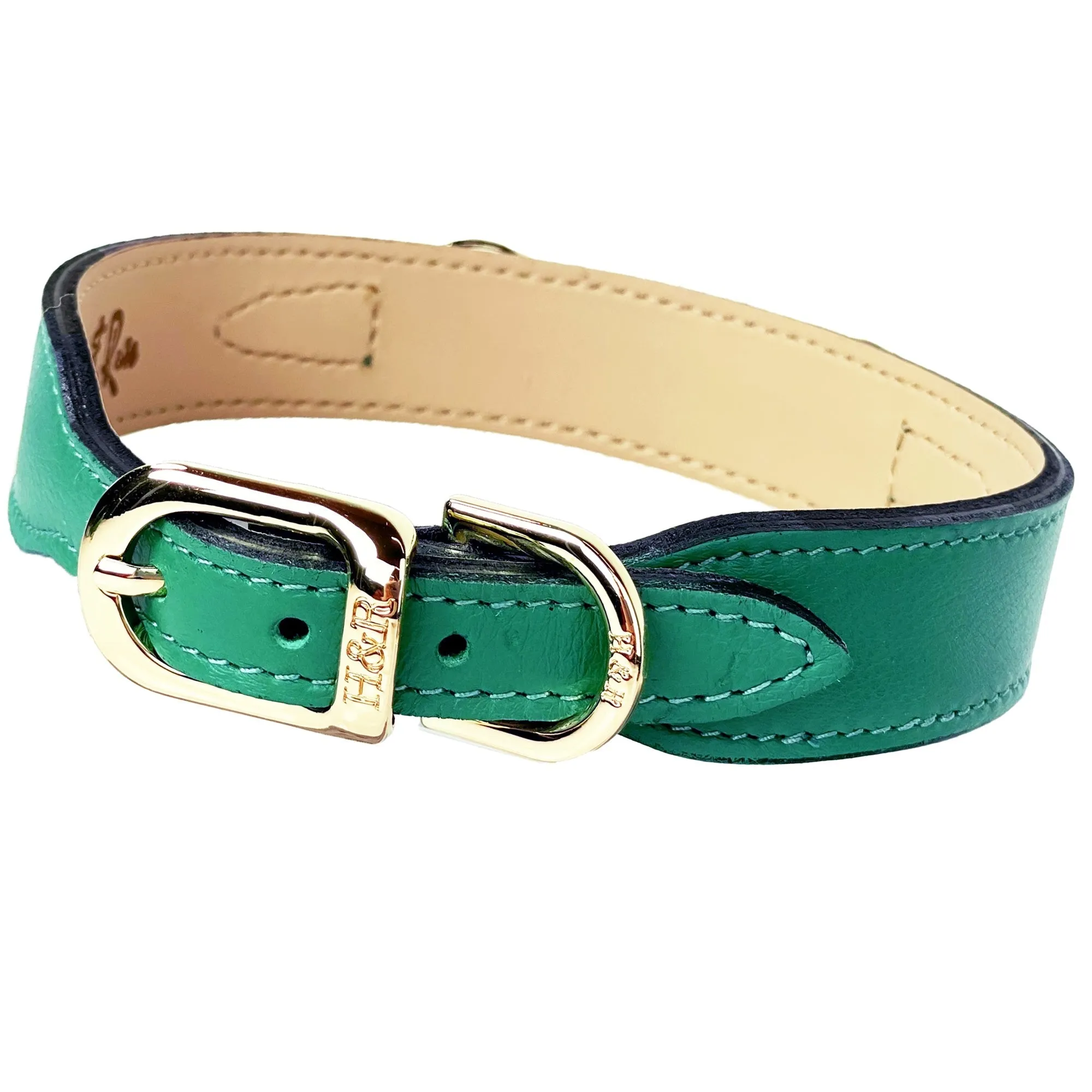 Belmont Dog Collar in Kelly Green & Gold