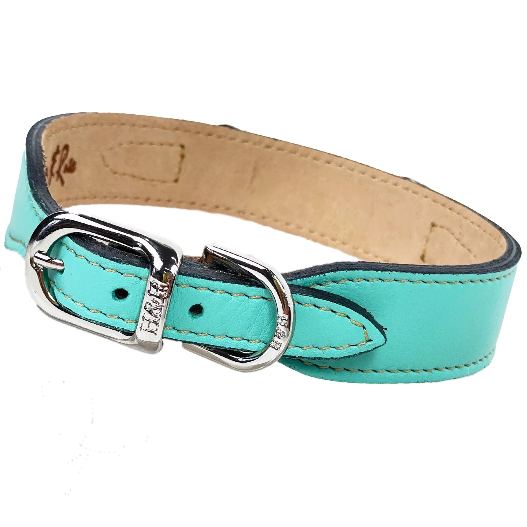 Belmont Dog Collar in Turquoise & Nickel