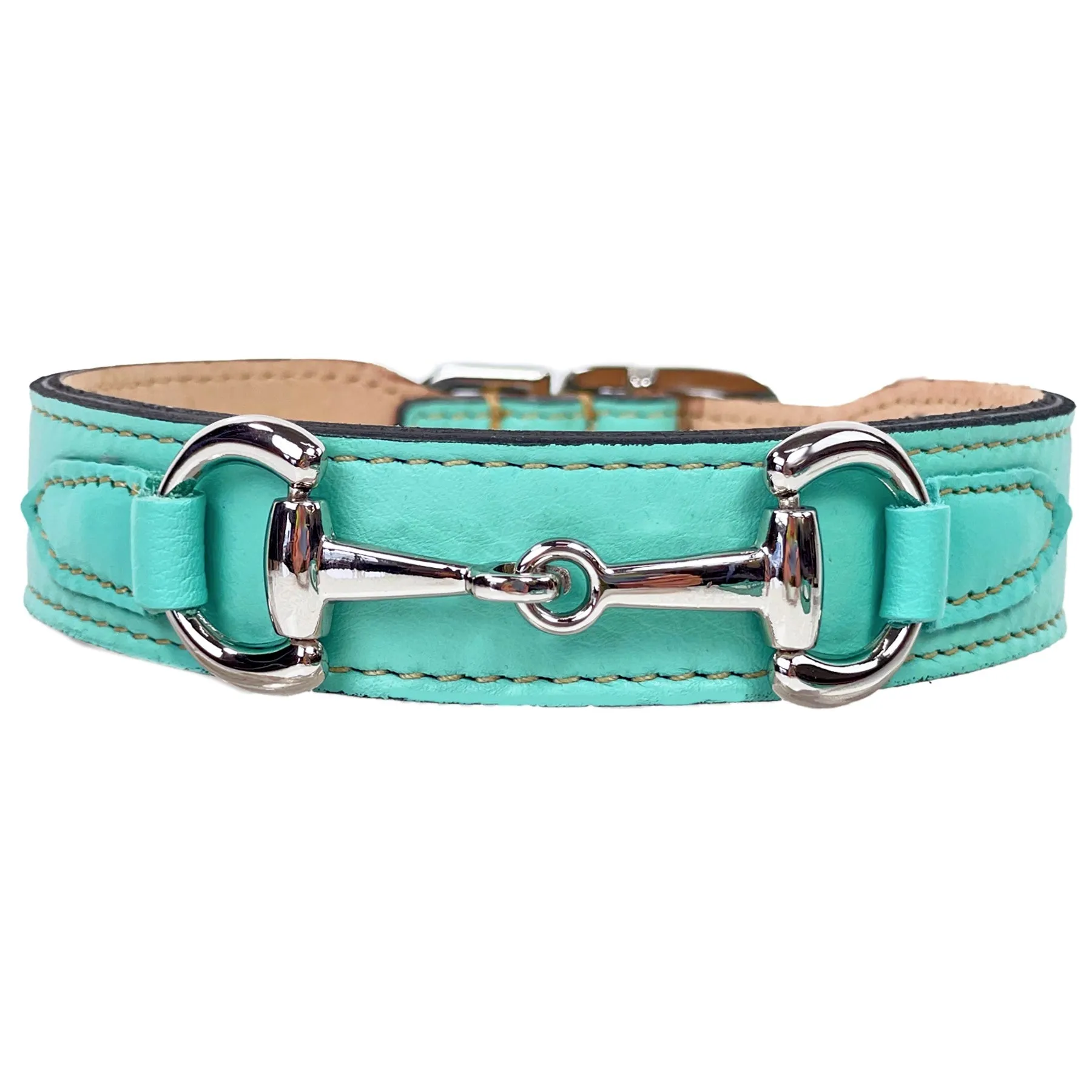 Belmont Dog Collar in Turquoise & Nickel