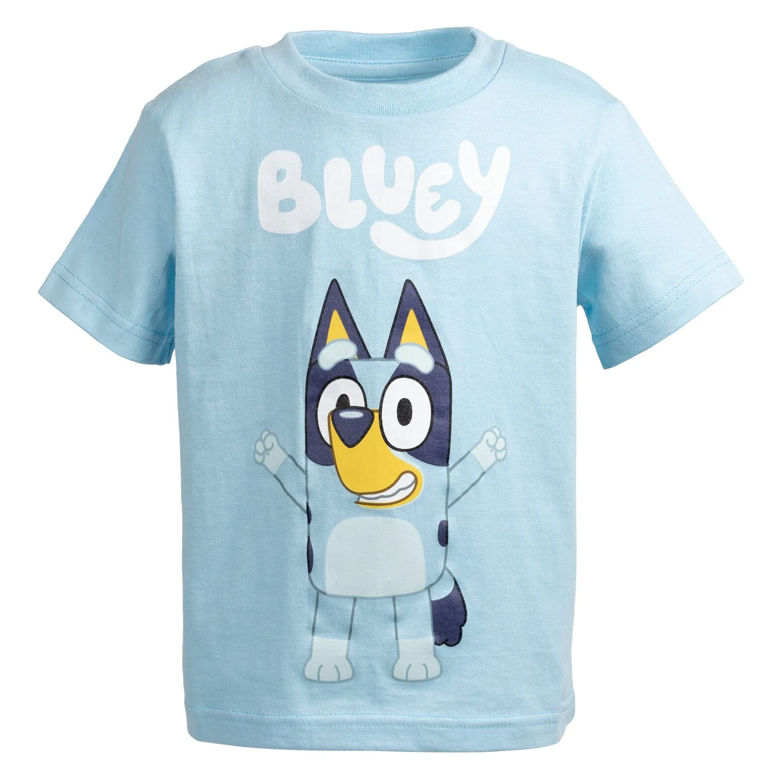 Bluey Matching Family T-Shirt