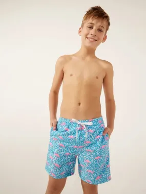 Chubbies The Domingos Are For Flamingos Swim Trunk Youth