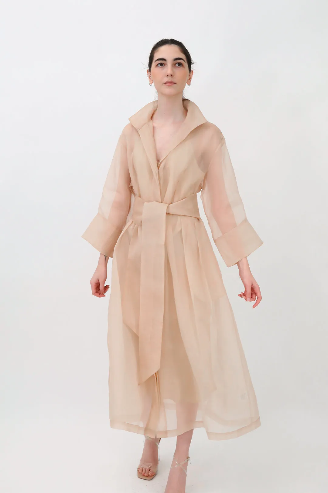 GABRIELLE DRESS IN SILK ORGANZA SAND