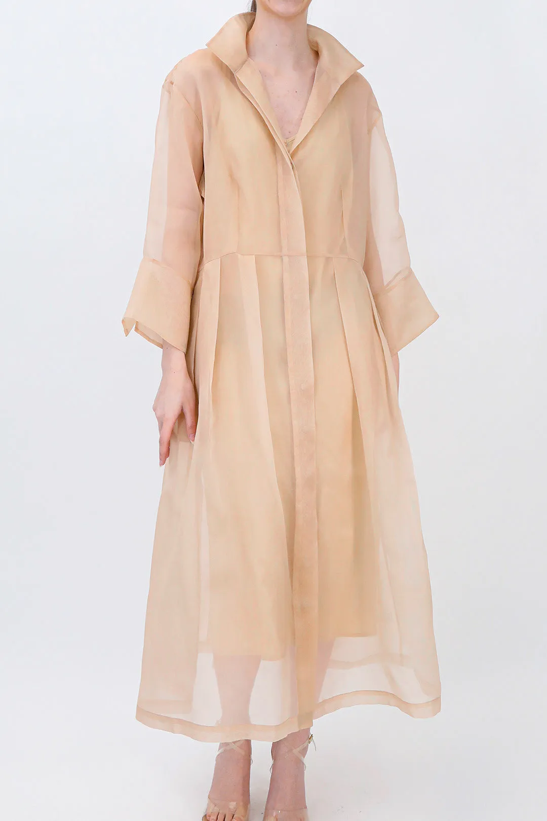 GABRIELLE DRESS IN SILK ORGANZA SAND