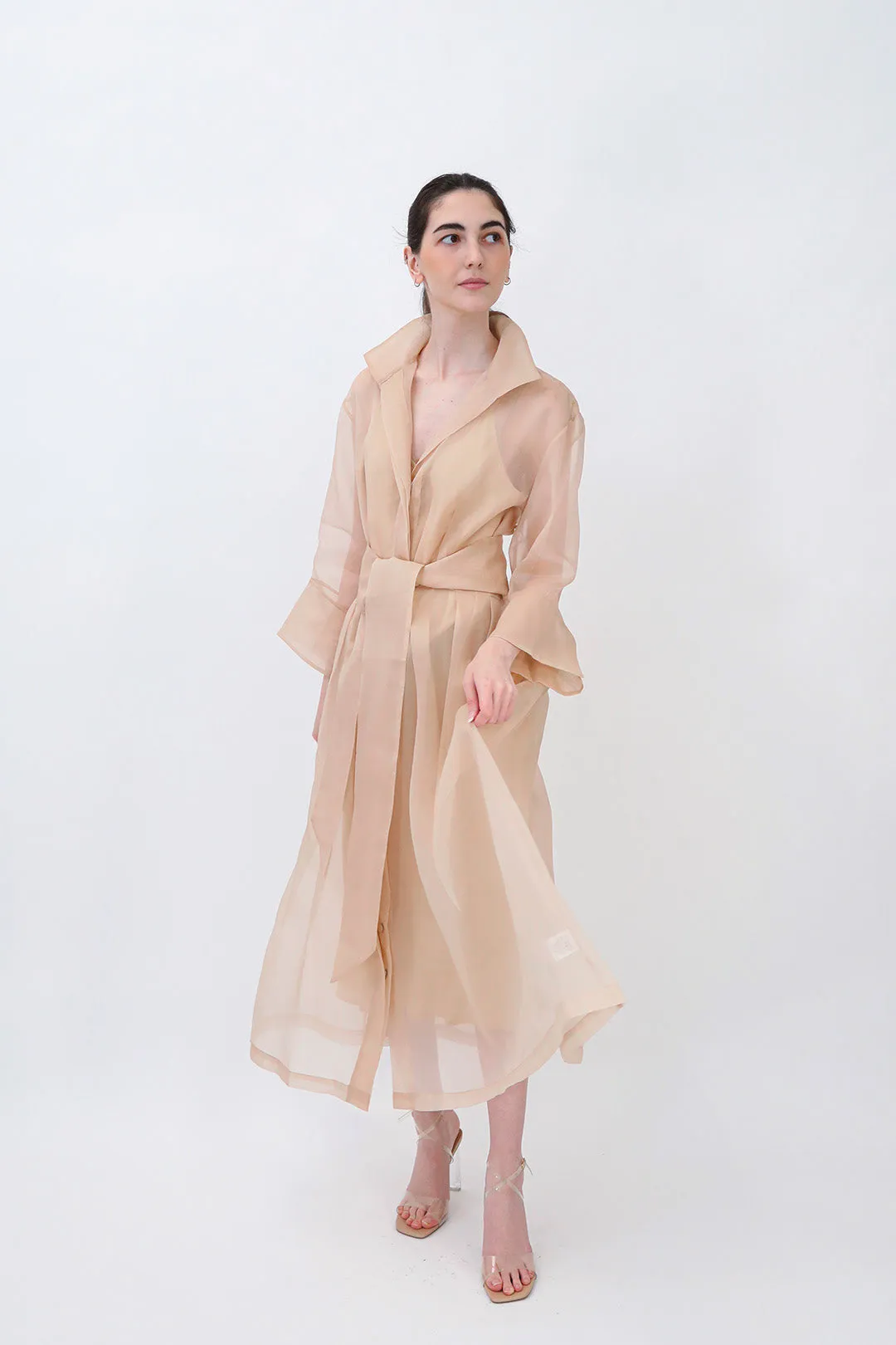 GABRIELLE DRESS IN SILK ORGANZA SAND