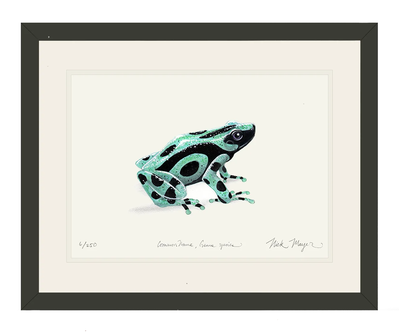 Green and Black Poison Dart Frog Original Watercolor Painting, NEW