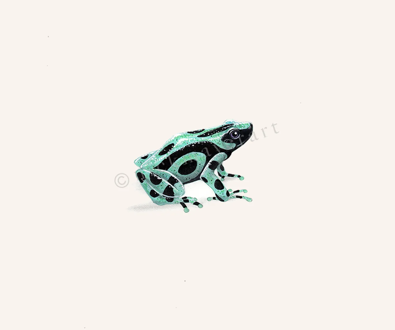 Green and Black Poison Dart Frog Original Watercolor Painting, NEW