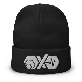 HEX PulseX PulseChain Beanie