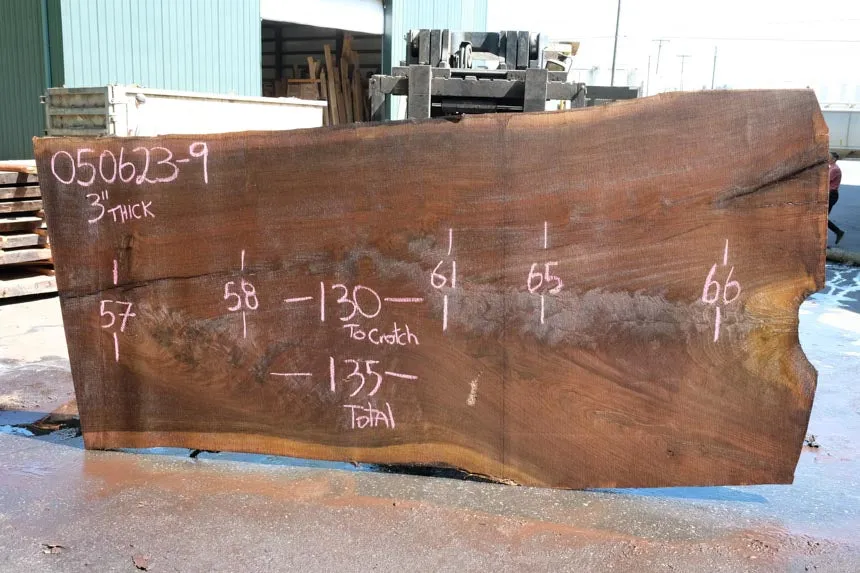 Oregon Black Walnut Slab 050623-09