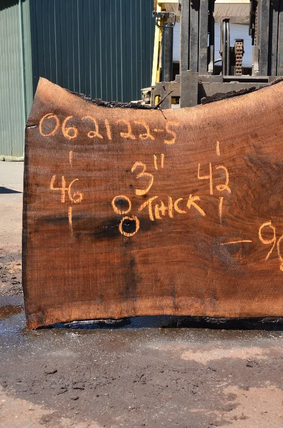 Oregon Black Walnut Slab 062122-05