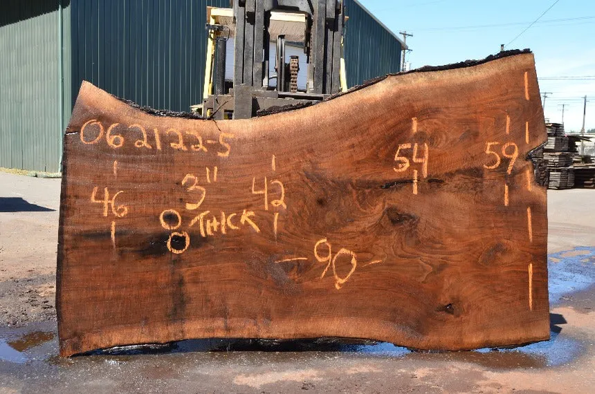 Oregon Black Walnut Slab 062122-05