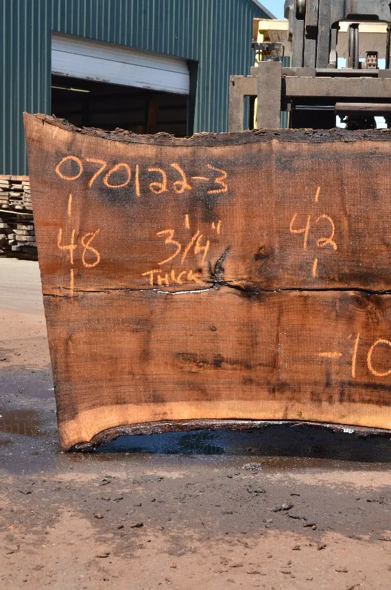 Oregon Black Walnut Slab 070122-03