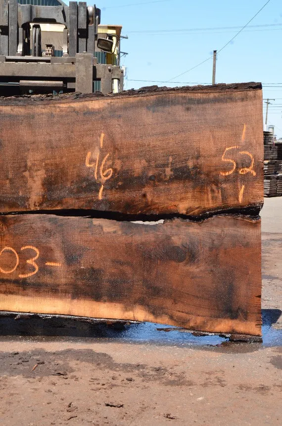 Oregon Black Walnut Slab 070122-03