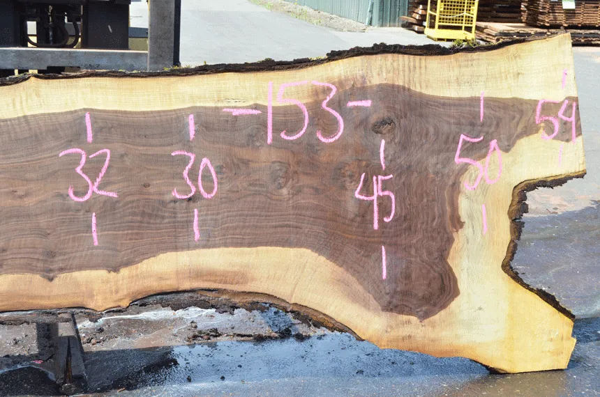 Oregon Black Walnut Slab 070820-02