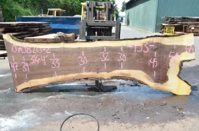 Oregon Black Walnut Slab 070820-02