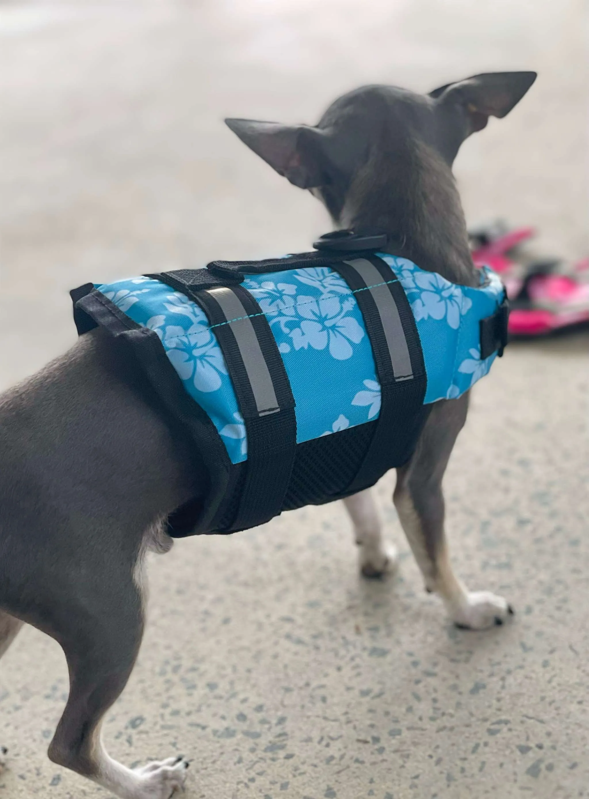 Puppy Life Jacket, Pocket Pooch Swim Vest