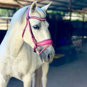 The Barbie Pink Leather Snaffle Bridle