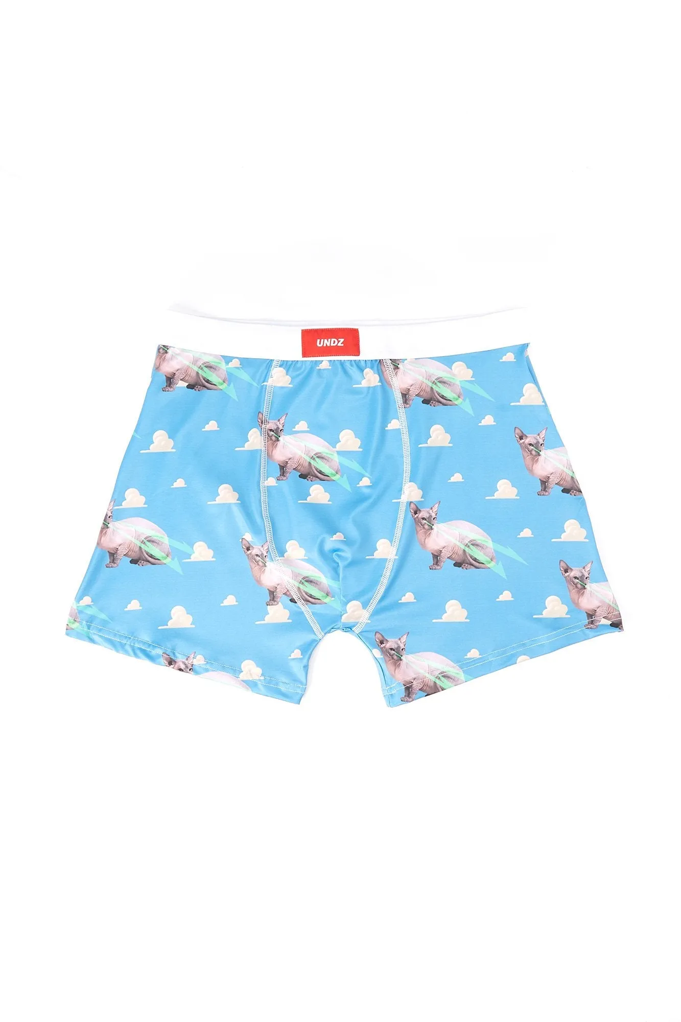 UNDZ Guys Hairless Sphinx Cat Print Boxers