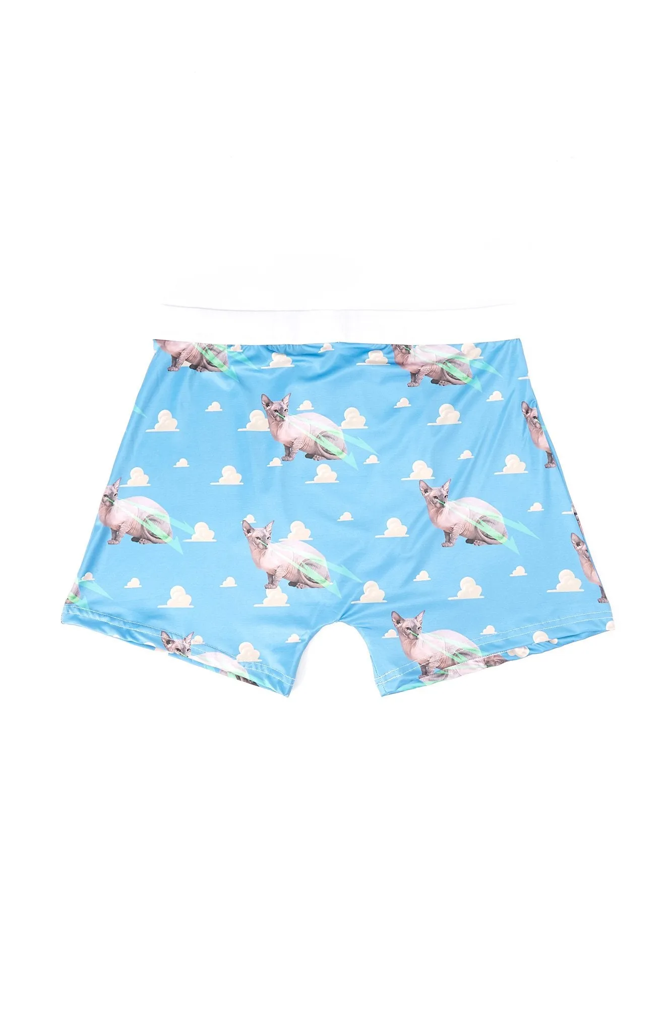 UNDZ Guys Hairless Sphinx Cat Print Boxers